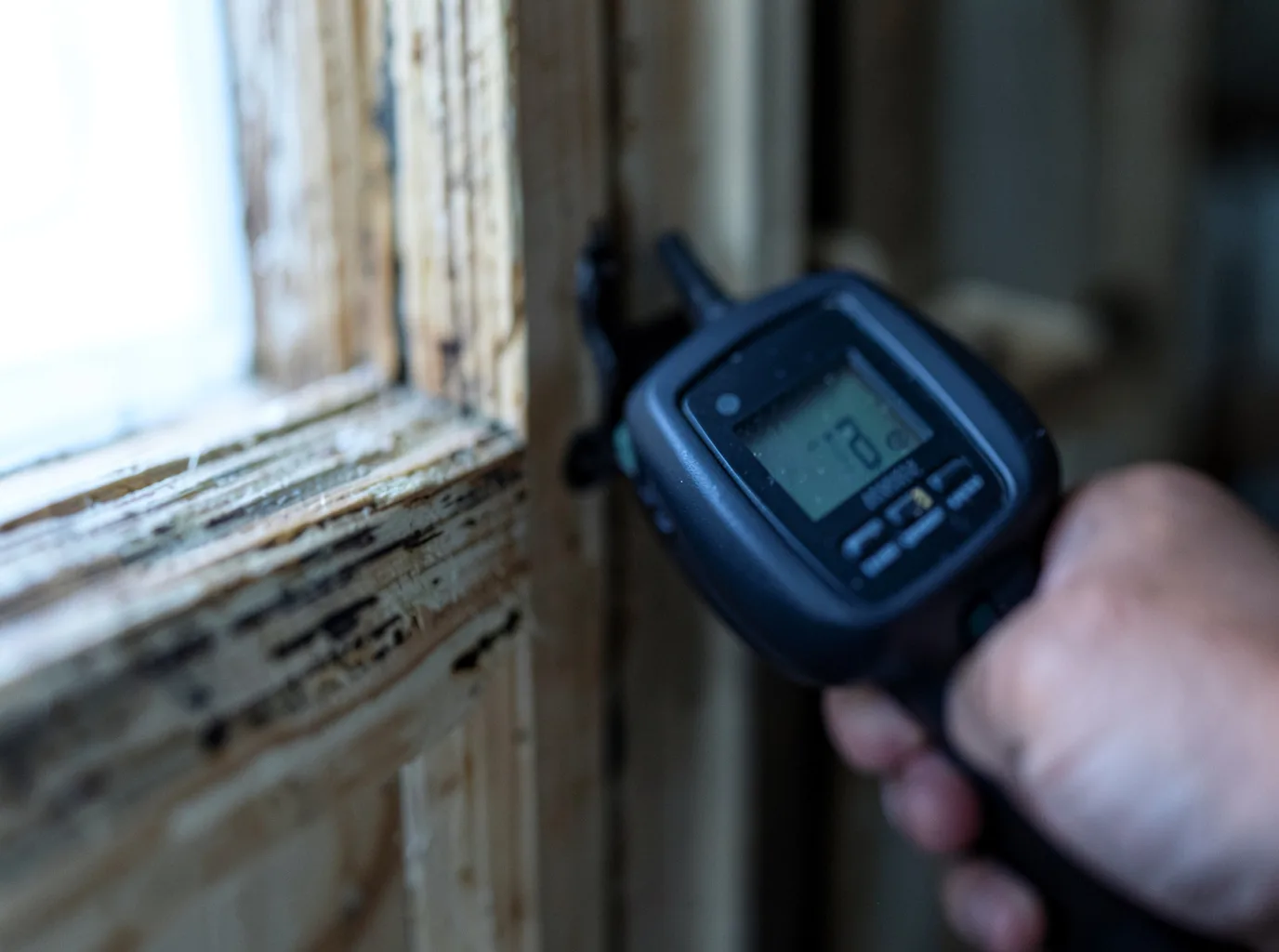Moisture Inspection And Documentation in Roscoe, PA